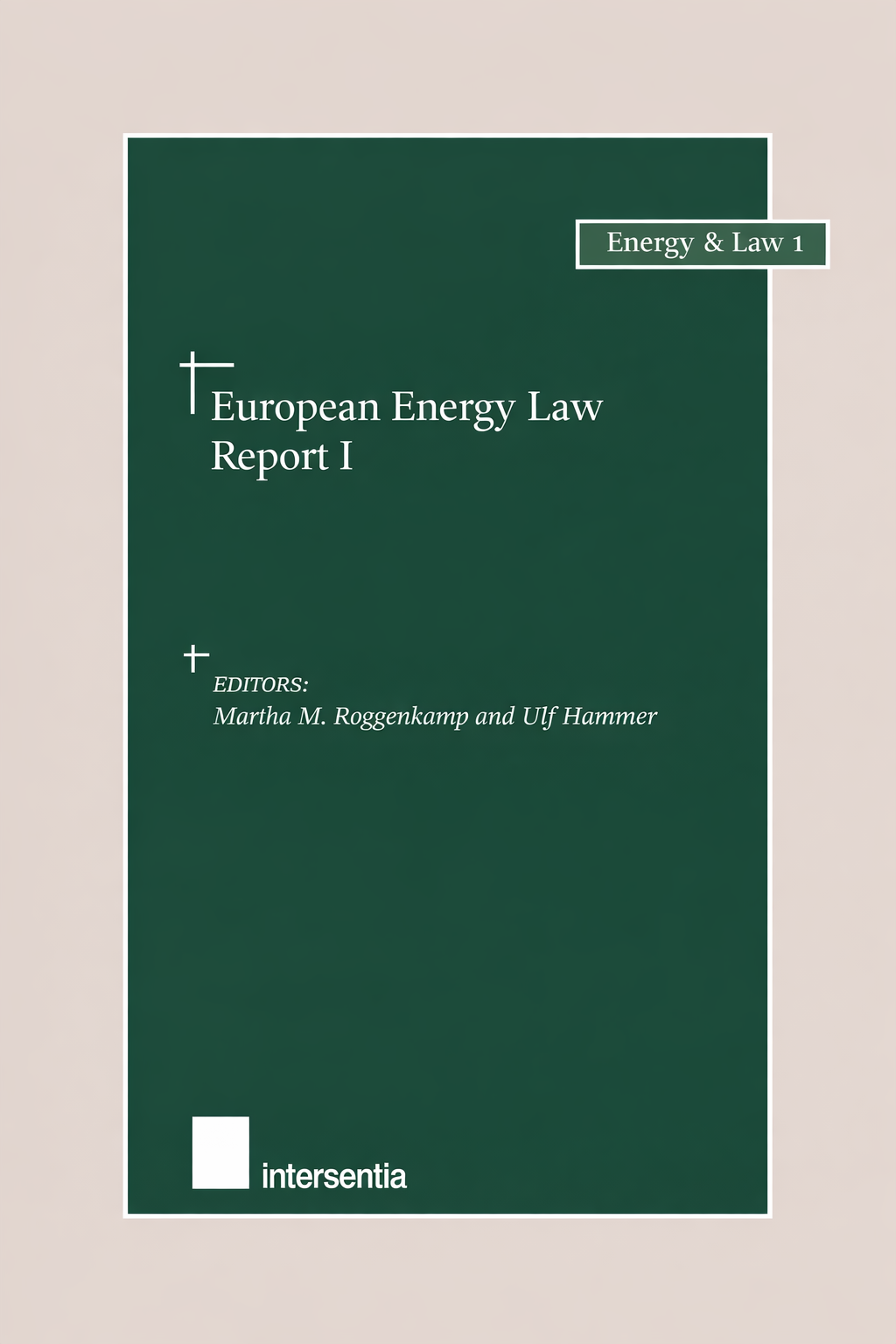 European Energy Law 2004